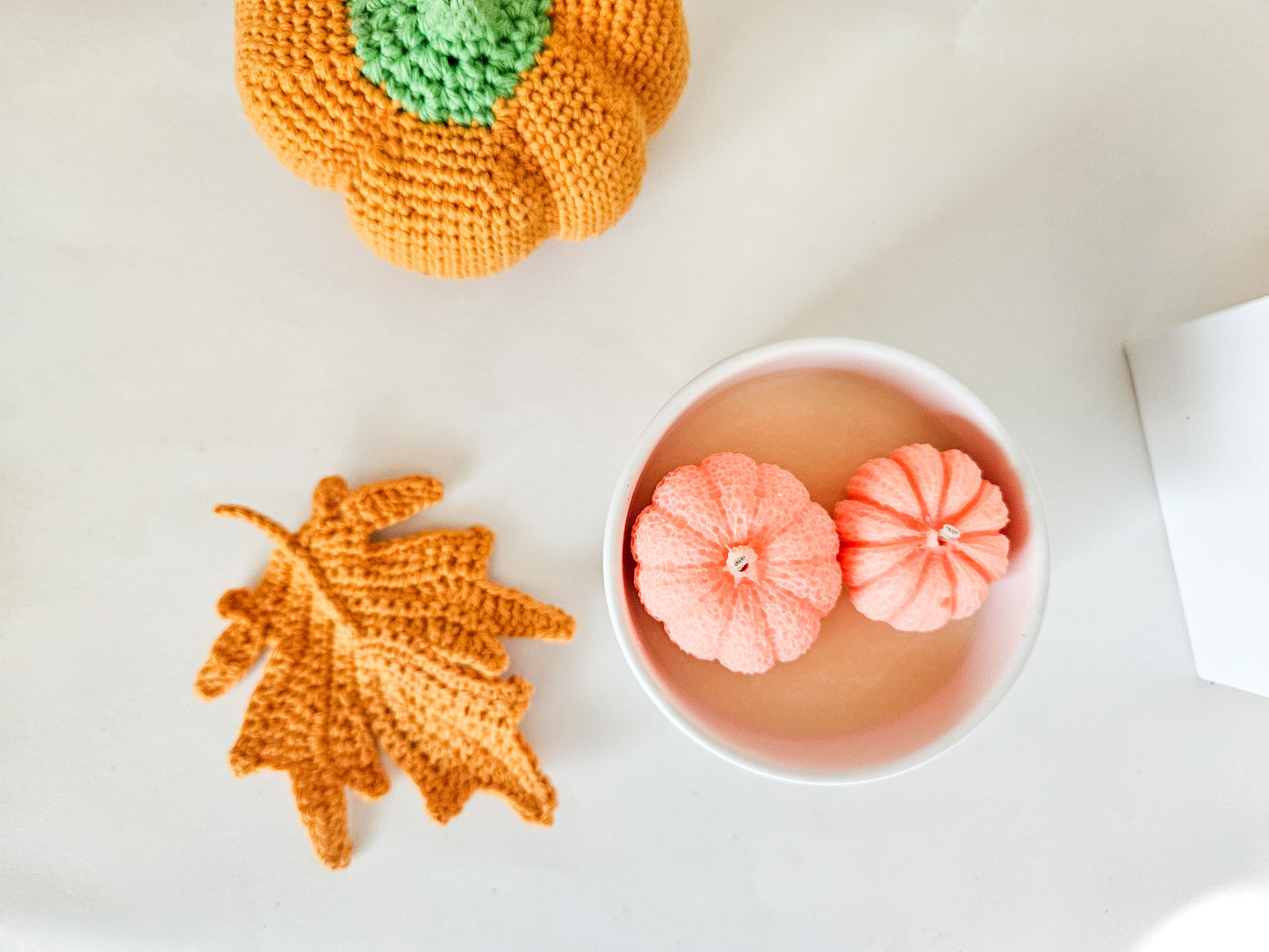 Pumpkin Patch