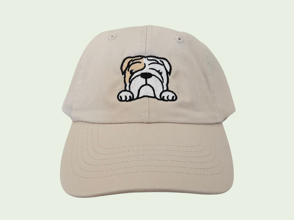 English Bulldog