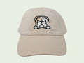 English Bulldog