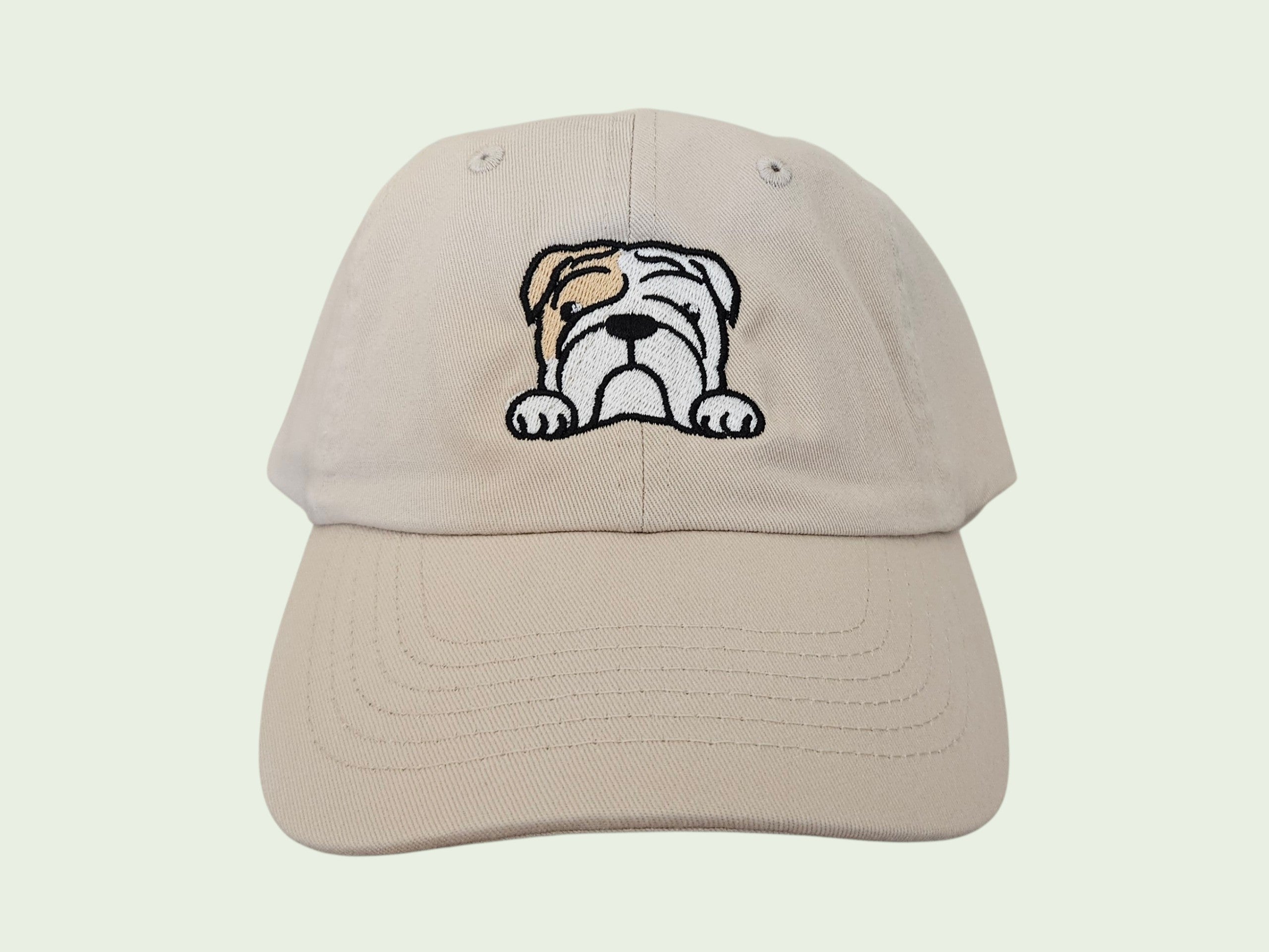English Bulldog