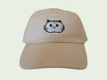 Gray Cat