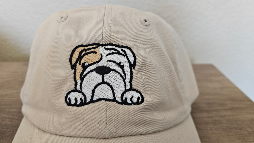 English Bulldog