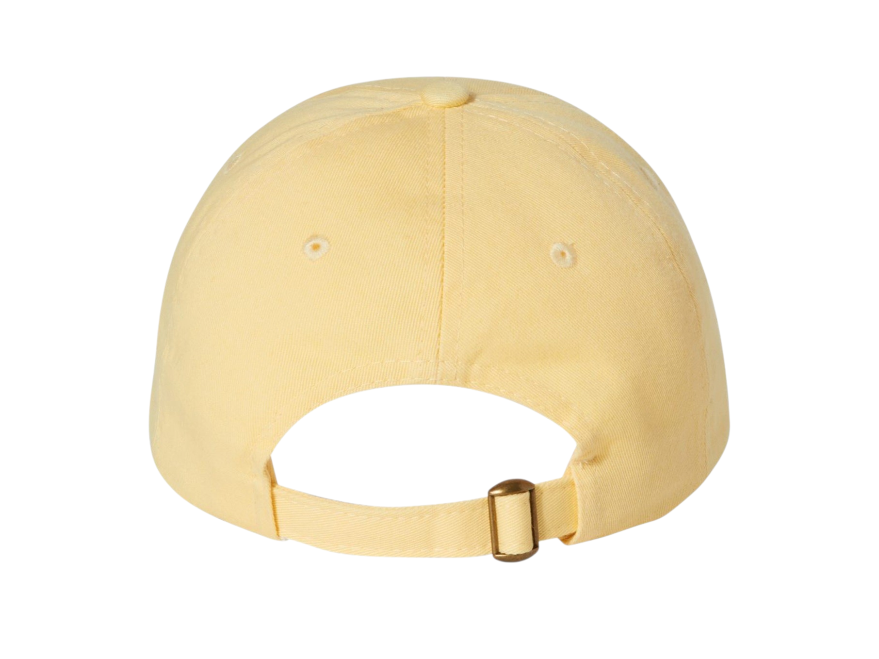Border Collie Hat